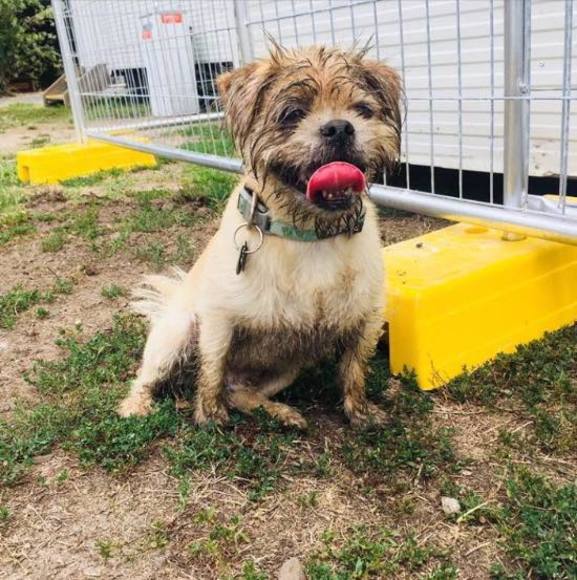 Meet your Posher, Naomi - Picture 1 of 1